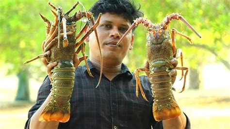  Làng Lobster - Vua Hải Tộc Lộng Lẫy Sở Hữu Kỹ Năng Giấu Trốn Siêu Phàm!